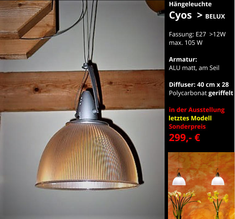 Hängeleuchte Cyos  > BELUX  Fassung: E27  >12W max. 105 W    Armatur:   ALU matt, am Seil  Diffuser: 40 cm x 28 Polycarbonat geriffelt  in der Ausstellung  Sonderpreis  299,- €      letztes Modell