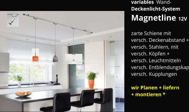 variables  Wand- Deckenlicht-System  Magnetline 12V  zarte Schiene mit  versch. Deckenabstand + versch. Stahlern, mit  versch. Köpfen + versch. Leuchtmitteln versch. Entblendungskap versch. Kupplungen  wir Planen + liefern + montieren *